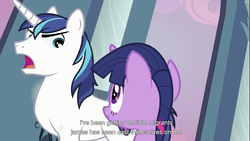 Size: 1366x768 | Tagged: safe, screencap, shining armor, twilight sparkle, pony, unicorn, g4, duo, female, male, mare, stallion, youtube caption, youtube link