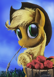 Size: 770x1100 | Tagged: safe, artist:huussii, applejack, earth pony, pony, g4, female, looking at you, solo