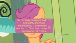 Size: 1280x720 | Tagged: safe, scootaloo, g4, meta, pony confession, text