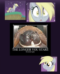 Size: 749x922 | Tagged: safe, derpy hooves, pegasus, pony, g4, discovery meme, exploitable meme, female, mare, meme