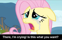 Size: 1024x672 | Tagged: safe, fluttershy, pegasus, pony, g4, break the cutie, bronybait, caption, crying, cs captions, female, floppy ears, mare, solo