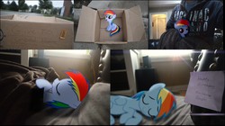 Size: 4053x2275 | Tagged: safe, artist:oppositebros, rainbow dash, human, pegasus, pony, fanfic:my little dashie, g4, box, brony history, cardboard box, cute, female, filly, filly rainbow dash, irl, mare, photo, ponies in real life, sleeping, vector, younger