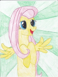 Size: 2552x3348 | Tagged: safe, artist:delatin, fluttershy, g4, high res