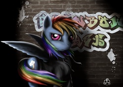 Size: 3508x2480 | Tagged: safe, artist:taliesin-the-dragoon, rainbow dash, pony, g4, clothes, female, graffiti, high res, hoodie, solo