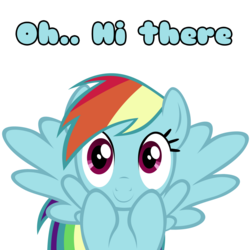 Size: 1600x1600 | Tagged: safe, artist:kuren247, rainbow dash, pony, g4, cute, dashabetes, female, fourth wall, image macro, solo, text