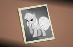 Size: 912x590 | Tagged: safe, artist:jan, photo finish, earth pony, pony, picture perfect pony, g4, female, mare, picture, solo