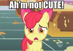 Size: 604x423 | Tagged: safe, apple bloom, earth pony, pony, g4, accent, apple bloom's bow, blatant lies, bow, cute, denial's not just a river in egypt, dialogue, female, filly, hair bow, hub logo, i'm not cute, image macro, impact font, lies, solo, tsundere bloom