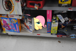 Size: 1600x1071 | Tagged: dead source, safe, artist:brosteve, fluttershy, pegasus, pony, g4, cute, female, filly, filly fluttershy, floppy ears, frown, hair over one eye, hiding, irl, looking up, lost, photo, ponies in real life, prone, sad, scared, shelf, shyabetes, solo, stray, vector, walmart, woobie, younger