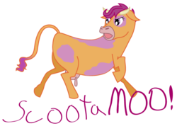 Size: 674x500 | Tagged: safe, artist:gimpcowking, scootaloo, cow, g4, cowified, name pun, pun, scootamoo, simple background, solo, species swap, transparent background, udder
