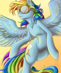 Size: 1067x1280 | Tagged: safe, artist:rozga, rainbow dash, pony, g4, female, goggles, solo