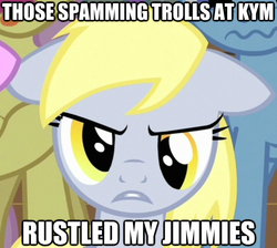 Size: 625x560 | Tagged: safe, derpy hooves, pegasus, pony, g4, female, image macro, jimmies, know your meme, mare