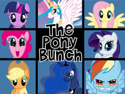 Size: 769x579 | Tagged: safe, artist:starcatcherz, applejack, fluttershy, pinkie pie, princess celestia, princess luna, rainbow dash, rarity, twilight sparkle, g4, crossover, parody, the brady bunch