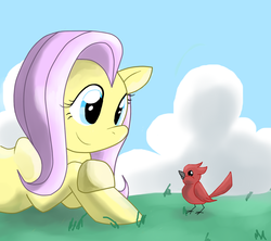 Size: 900x800 | Tagged: safe, artist:perfectpinkwater, fluttershy, bird, g4