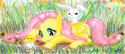 Size: 1206x519 | Tagged: safe, artist:kutakoru, angel bunny, fluttershy, chicken, g4, chick, duo, grass, lying, lying down