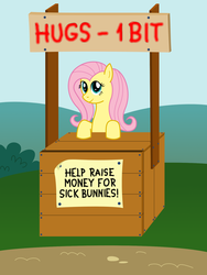 Size: 1320x1754 | Tagged: safe, artist:evaxilth, fluttershy, g4, booth, charity, hug