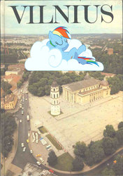 Size: 804x1142 | Tagged: safe, rainbow dash, g4, lithuania, vilnius