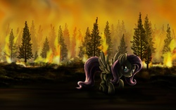 Size: 1920x1200 | Tagged: safe, artist:dcpip, fluttershy, g4, arson, fire, forest, forest fire