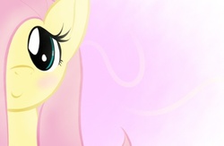 Size: 640x416 | Tagged: safe, artist:dshou, fluttershy, pony, g4, abstract background, blushing, bust, female, hair over one eye, looking at you, mare, portrait, smiling, solo