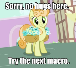 Size: 386x345 | Tagged: safe, edit, edited screencap, screencap, junebug, earth pony, pony, g4, anti-bronybait, flower, hug, image macro