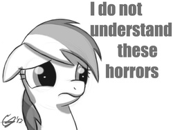 Size: 800x600 | Tagged: safe, artist:kingpivot001, rainbow dash, pony, g4, duo, reaction image