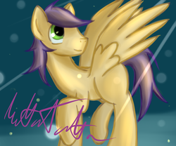 Size: 2400x2000 | Tagged: safe, artist:mattatatta, oc, oc only, pegasus, pony, high res, male, stallion