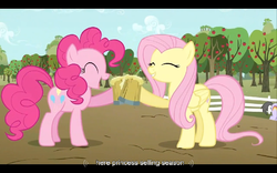 Size: 768x480 | Tagged: safe, screencap, fluttershy, pinkie pie, g4, the super speedy cider squeezy 6000, cider, eyes closed, youtube caption