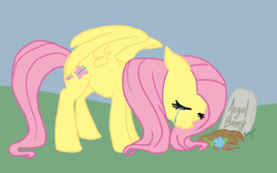 Size: 750x469 | Tagged: safe, artist:bux, angel bunny, fluttershy, g4, crying, grave