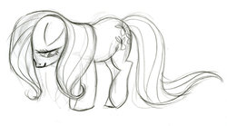 Size: 900x502 | Tagged: safe, artist:lauren faust, fluttershy, posey, earth pony, pony, g1, g4, concept art, earth pony fluttershy, female, g1 to g4, generation leap, mare, race swap, sketch, solo, traditional art, wingless