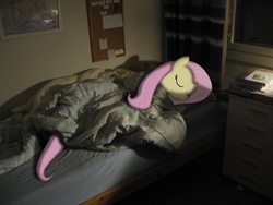 Size: 1136x852 | Tagged: safe, fluttershy, pony, g4, bed, irl, photo, ponies in real life, sleeping, vector