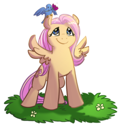 Size: 674x674 | Tagged: safe, artist:mazepony, fluttershy, bird, pegasus, pony, g4, female, flower, grass, looking up, mare, simple background, smiling, solo, transparent background