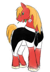 Size: 358x510 | Tagged: safe, artist:xxhazukixx, big macintosh, earth pony, pony, g4, clothes, male, solo, stallion, traditional art, tuxedo, unshorn fetlocks