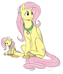 Size: 568x665 | Tagged: safe, artist:cartoonlion, fluttershy, oc, oc:futashy, pegasus, pony, ask futashy, futaverse, g4, intersex, plushie, sitting