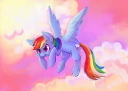 Size: 700x500 | Tagged: safe, artist:orcacookie, rainbow dash, g4, cloud, cloudy