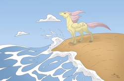 Size: 3421x2244 | Tagged: safe, artist:almairis, fluttershy, pegasus, pony, g4, 2011, beach, closed mouth, cloud, colored hooves, eyes closed, female, folded wings, high res, hoers, mare, ocean, realistic, sky, smiling, solo, standing, water, wind, windswept mane, wings
