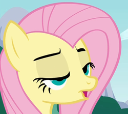 Size: 801x717 | Tagged: safe, screencap, fluttershy, pony, g4, bust, cropped, derp, female, lidded eyes, mare, open mouth, solo, three quarter view