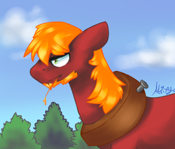 Size: 387x328 | Tagged: safe, artist:atrixy, big macintosh, earth pony, pony, g4, beard, male, stallion