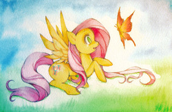 Size: 800x520 | Tagged: safe, artist:sererena, fluttershy, butterfly, pony, g4, female, solo, traditional art