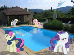 Size: 870x652 | Tagged: safe, artist:destructodash, bon bon, derpy hooves, fluttershy, rainbow dash, rarity, sweetie drops, earth pony, pony, g4, irl, photo, ponies in real life, reflection, swimming pool, vector