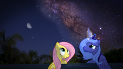 Size: 960x540 | Tagged: safe, fluttershy, princess luna, pony, g4, irl, moon, night, photo, ponies in real life, s1 luna, stars