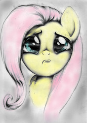 Size: 750x1064 | Tagged: dead source, source needed, useless source url, safe, artist:carlotta-guidicelli, fluttershy, pony, g4, bust, colored, crying, female, frown, looking at you, portrait, pouting, sad, solo