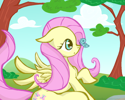 Size: 800x640 | Tagged: safe, artist:accursedknight, fluttershy, pony, g4, female, solo