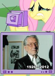 Size: 563x771 | Tagged: safe, fluttershy, pony, g4, exploitable meme, fluttercry, joe kubert, meme, tv meme