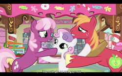 Size: 768x480 | Tagged: safe, edit, edited screencap, screencap, big macintosh, cheerilee, sweetie belle, earth pony, pony, unicorn, g4, hearts and hooves day (episode), caption, female, filly, foal, hearts and hooves day, male, mare, meme, stallion, sugarcube corner, text, youtube caption
