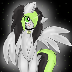 Size: 873x872 | Tagged: safe, artist:askbreejetpaw, oc, oc only, oc:bree jetpaw, pegasus, pony, bipedal, chest fluff, collar, cute, fangs, fluffy, gray, hair over one eye, open mouth, pegasus oc, pet tag, shiny, smiling, solo, spread wings, wing fluff