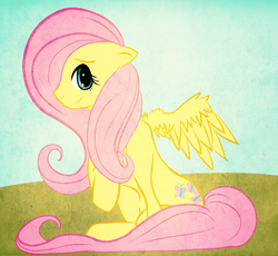 Size: 1163x1069 | Tagged: safe, artist:datvagabond, fluttershy, pegasus, pony, g4, female, looking at you, mare, profile, sitting, smiling, solo