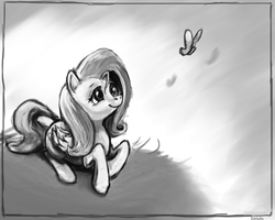 Size: 1024x819 | Tagged: safe, artist:idriaka, fluttershy, butterfly, pegasus, pony, g4, female, grayscale, looking up, mare, monochrome, prone, smiling, solo