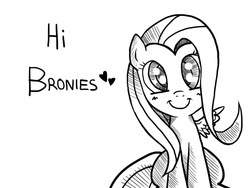 Size: 800x600 | Tagged: safe, artist:celine-artnsfw, fluttershy, pegasus, pony, :i, blushing, brony, bronybait, c:, cute, female, fourth wall, grayscale, heart, hi, looking at you, mare, monochrome, shyabetes, simple background, sitting, smiling, solo, spread wings, talking to viewer, text, white background, wings