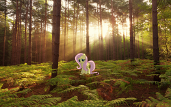 Size: 1280x800 | Tagged: safe, artist:brosteve, fluttershy, pony, g4, forest, irl, photo, ponies in real life, vector
