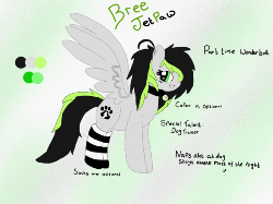 Size: 500x375 | Tagged: safe, artist:askbreejetpaw, oc, oc only, oc:bree jetpaw, pegasus, pony, animated, clothes, collar, cute, eye shimmer, grin, looking back, pegasus oc, pet tag, smiling, socks, solo, spread wings, stockings, striped socks, wonderbolts