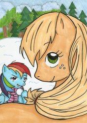 Size: 900x1273 | Tagged: safe, artist:chiuuchiuu, applejack, rainbow dash, g4, clothes, scarf, traditional art